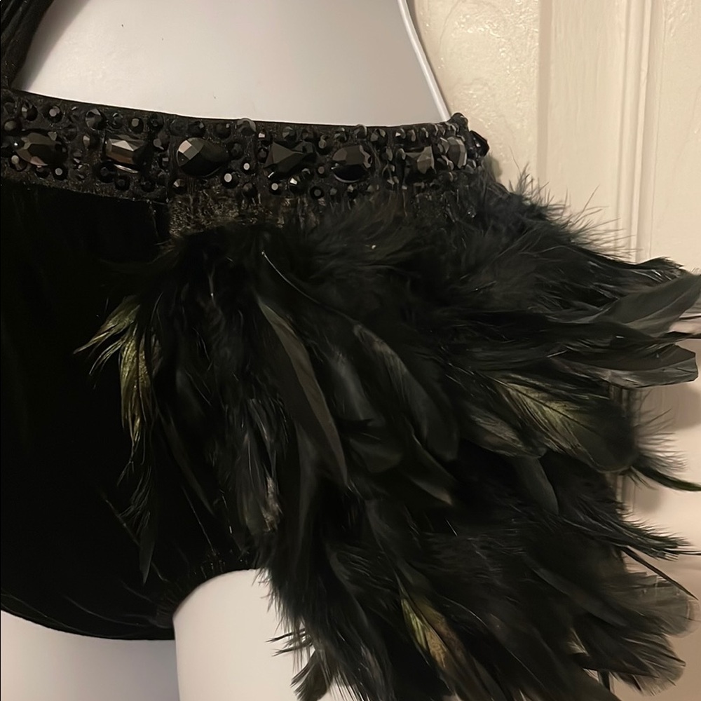 Glamour Black Feathered Costume - Picture 5 of 14